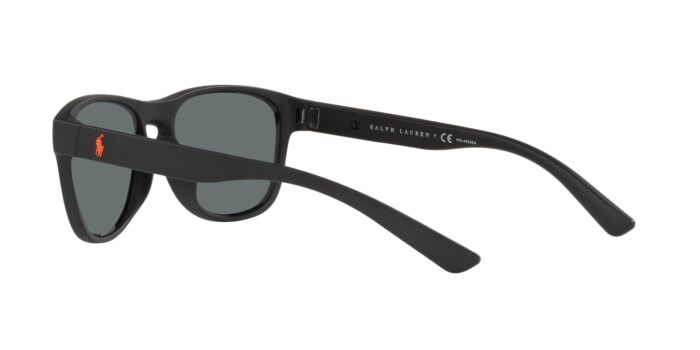 Okulary przeciwsłoneczne męskie POLO 0PH4180U